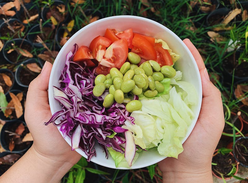 Fresh garden harvest salad with seasonal vegetables